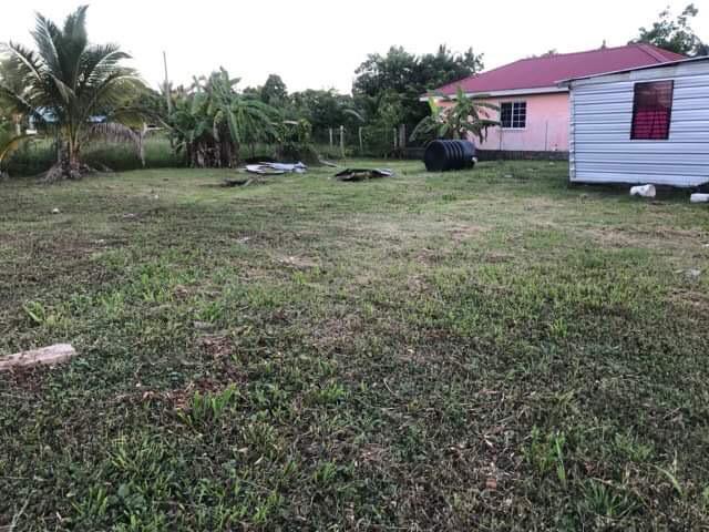 Property view 5
